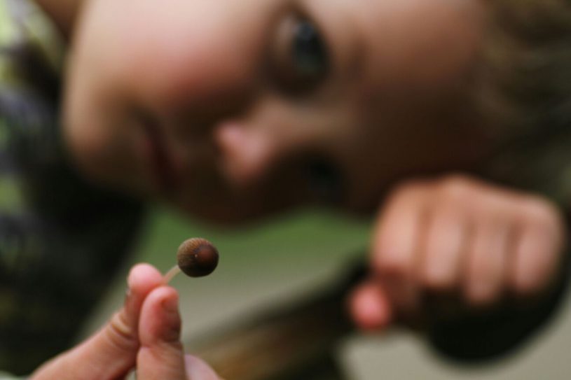 natuurlijk leren