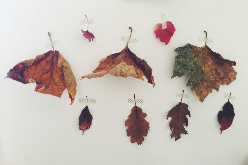 mid-herfst seizoensfeest