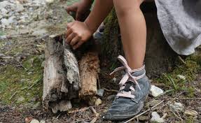 wild kid healthy